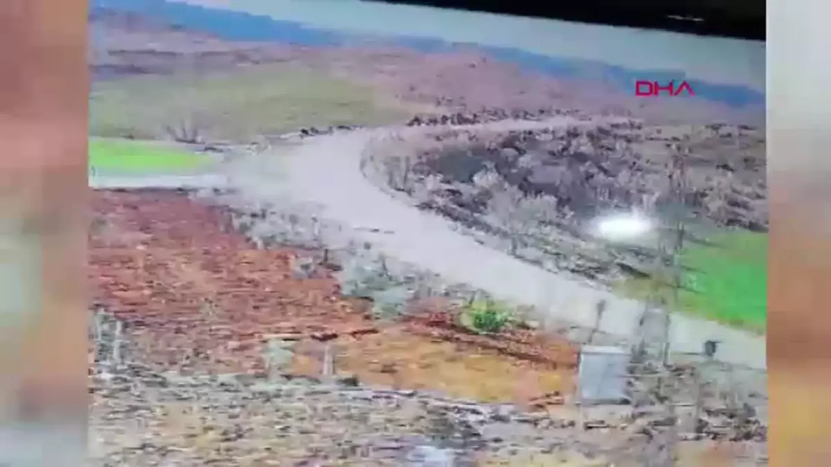 Siverek’te Kuduz Köpek Saldırısı: 1 Kadın ve 2 Çocuk Yaralandı
