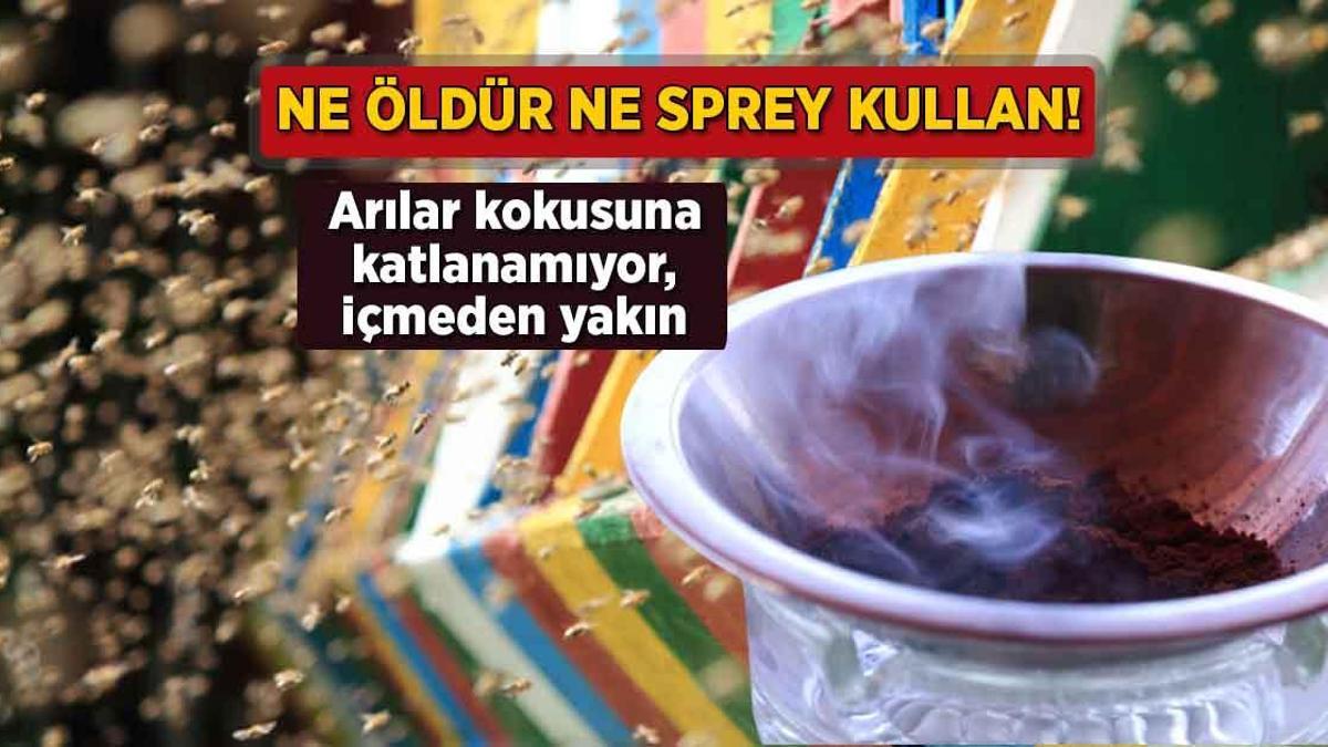 Sprey yok, öldürme yok! Arılar kokusuna katlanamıyor, balkonda yakın